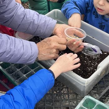 Springfield Montessori - Students learning with hands-on activities. - Preschools Near Me - Walnut Creek, California Springfield Montessori - Students learning with hands-on activities. - Preschools Near Me - Walnut Creek, California