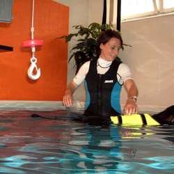 Reha für Hunde mit therapeutischen Schwimmen