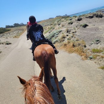 Ricochet Ridge Ranch - 1 hour beach ride. - Tours Near Me - Fort Bragg, California