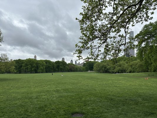 Sheep Meadow by null