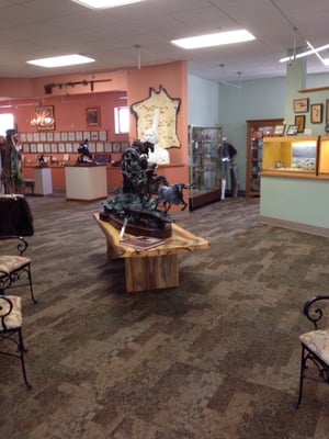 Petrified Wood Gallery by null