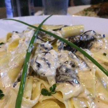 Plateia Mediterranean Kitchen Bar - Pappardele Pasta(w/ Wild Mushrooms & Goat Cheese Sauce) $14 - Terrific! - Bars Near Me - Glenview, Illinois Plateia Mediterranean Kitchen Bar - Pappardele Pasta(w/ Wild Mushrooms & Goat Cheese Sauce) $14 - Terrific! - Bars Near Me - Glenview, Illinois