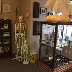 Wunderkammer - Lots of neat things in here!
