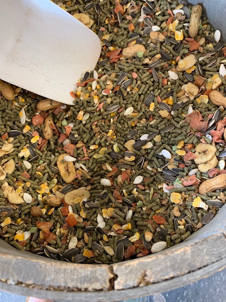 TORRES FEED & PET SUPPLY 43 Photos 2656 S Union Ave, Bakersfield