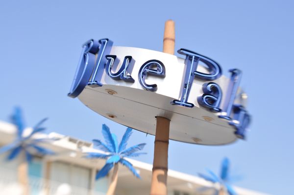 BLUE PALMS RESORT - Updated July 2024 - 114 Photos & 61 Reviews - 3601