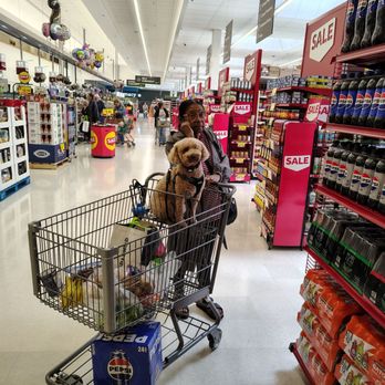 Stop & Shop - Dog in shopping cart - disgusting! - Grocery Near Me - Whiting, New Jersey Stop & Shop - Dog in shopping cart - disgusting! - Grocery Near Me - Whiting, New Jersey