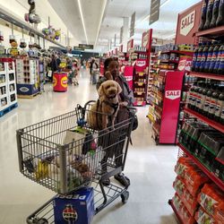 Stop & Shop - Dog in shopping cart - disgusting!