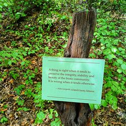 LLELA Nature Preseve