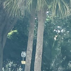 Boynton Lakes Park - Hidden doggie bag station