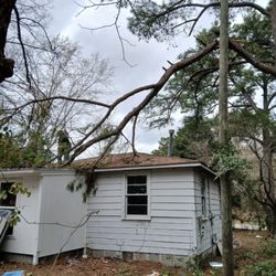 A B C Tree Service - Storm damage