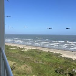 The Galvestonian