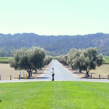 Opus One Winery - Sonny Crockett ready to bust down a  wine taster. - Wineries Near Me - Oakville, California