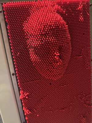 Ripley’s Illusion Lab by null