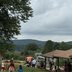Bush-N-Vine Farm - Beautiful mountain view