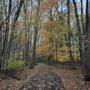 Photo of Raintree Park