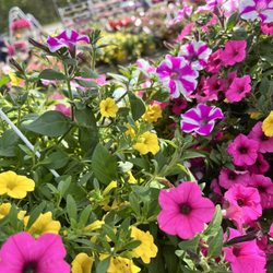 Dambly's Garden Center