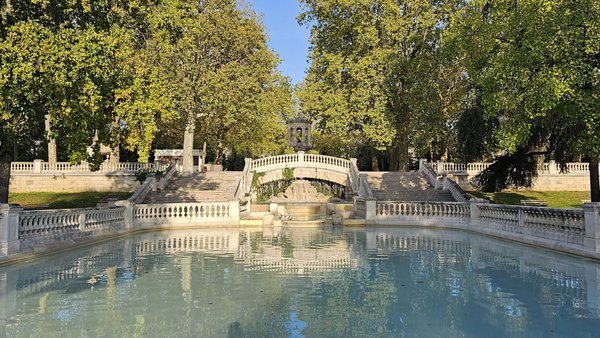 Darcy Garden by null