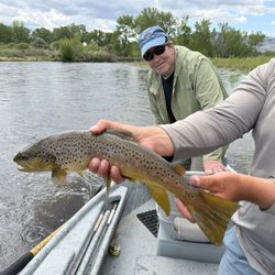 Anderson & Platt Outfitters