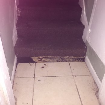 Design Place Apartments - 8/4//15 - Roaches at the bottom of the moldy stairs. Called for extermination and removal of mold. (2) - Apartments Near Me - Miami, Florida Design Place Apartments - 8/4//15 - Roaches at the bottom of the moldy stairs. Called for extermination and removal of mold. (2) - Apartments Near Me - Miami, Florida