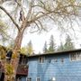 Photo of Branching Out Tree Care