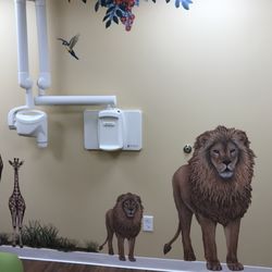 Valley Pediatric Dentistry - Jungle Room