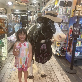 Java Cow Coffee - Beating the heat! Nice little spot with unique gifts. - Ice Cream & Frozen Yogurt Near Me - Park City, Utah