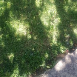 There is a grassy area for picnics. There is a grassy area for picnics.