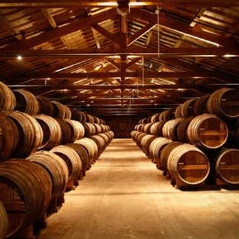 Maison Rémy Martin - Wine Tasting Room Near Me - Cognac, 16 Maison Rémy Martin - Wine Tasting Room Near Me - Cognac, 16