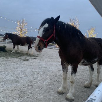 Warm Springs Ranch - Tours Near Me - Boonville, Missouri