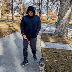 Geiser Pollman Park - Wide, clean-swept, and tree-lined paved paths for your stroll