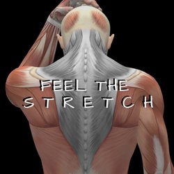 Touch of Class Massage Therapy