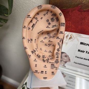 Renew Spa - Pressure points in the ear - Day Spas Near Me - Lake Forest, California Renew Spa - Pressure points in the ear - Day Spas Near Me - Lake Forest, California