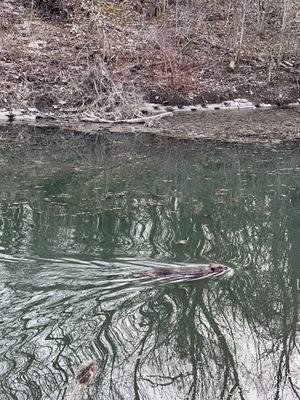 Delaware Park by null