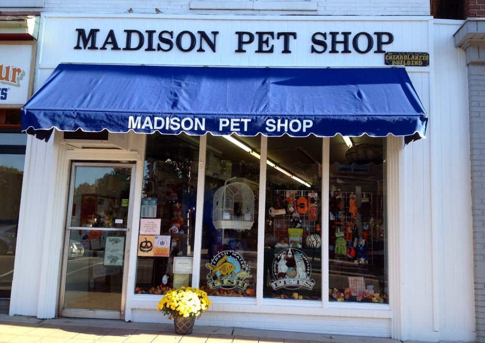 MADISON PET SHOP