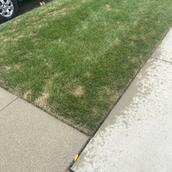 TruGreen Lawn Care - After treatment. - Tree Services Near Me - Hickory Hills, Illinois TruGreen Lawn Care - After treatment. - Tree Services Near Me - Hickory Hills, Illinois