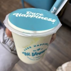Hi Yogurt - Orange