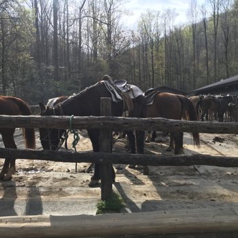 Sugarlands Riding Stable - Horseback Riding Near Me - Gatlinburg, Tennessee Sugarlands Riding Stable - Horseback Riding Near Me - Gatlinburg, Tennessee