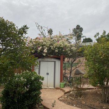 JJ Tree service - a garden with trees and shrubs - Tree Services Near Me