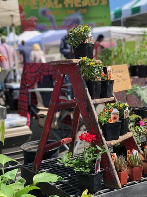 Hillsdale Farmers' Market by null