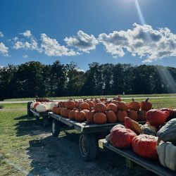 Gallmeyer Farms
