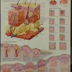 William H Paull, MD