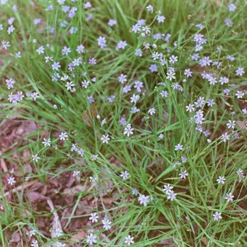 Kanapaha Botanical Gardens - Tours Near Me - Gainesville, Florida