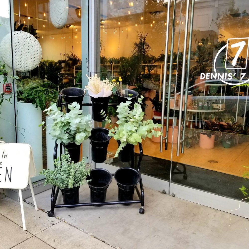 Storefront. Venture in!
