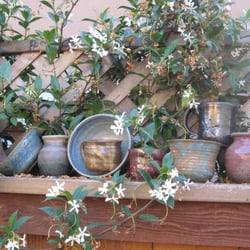 Falling Sky Pottery - Results of my 6-week pottery class