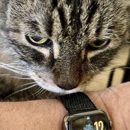 Owner and watch with new battery Owner and watch with new battery
