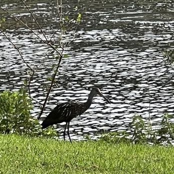 Earthday Park - Parks Near Me - Royal Palm Beach, Florida Earthday Park - Parks Near Me - Royal Palm Beach, Florida