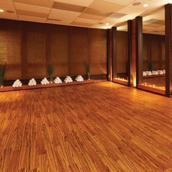 One Health Clubs - Oakville - Hot Yoga Studio