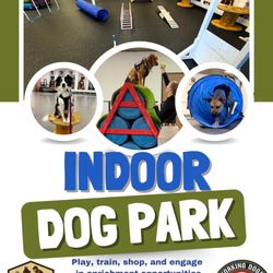 The Working Dog Shop - Indoor dog park in Rancho Cucamonga! Play, train, and explore fun obstacles with your pup. Self-wash available. theworkingdogshop.com