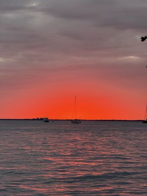 The Cleat Mia by null The Cleat Mia by null