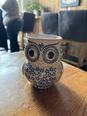 Flattop & Salamander by null